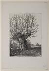 Collection of approximately 70 prints, including etchings and wood engravings.
